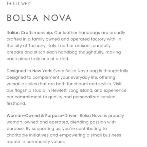 Bolsa Nova The Hug Hobo Bag - Picture 5 of 10